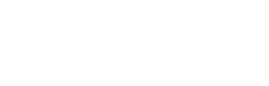 The Election Hero Day logo in all white