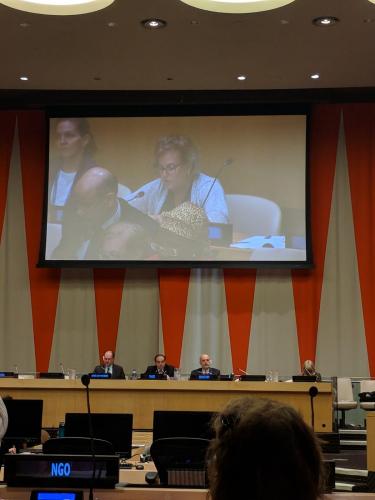 LWVUS Observers at the United Nations