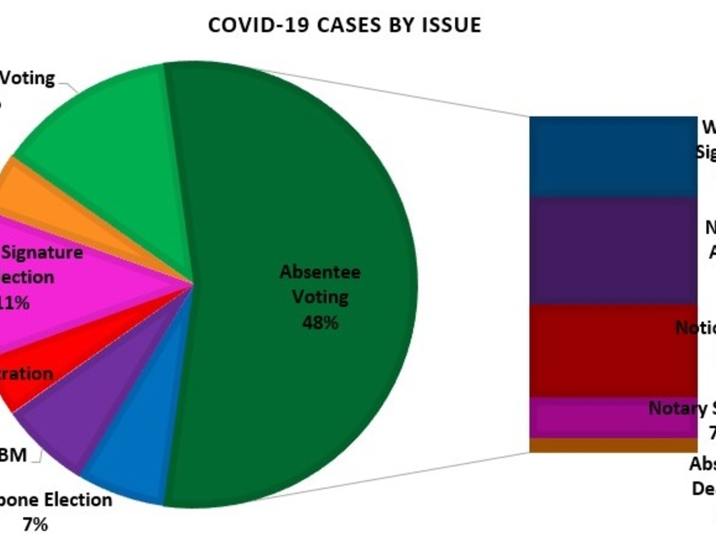 Breakdown of LWV COVID Cases by Issue