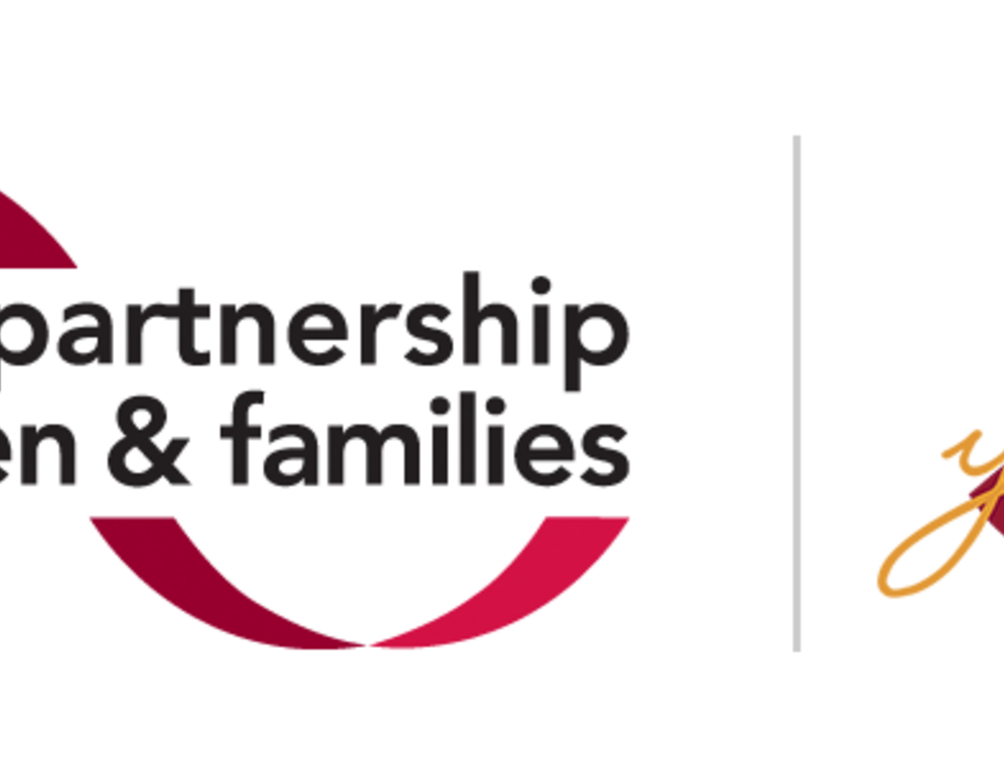 National Partnership of Women and Families logo