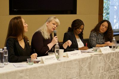 UN Panel on Violence against Women in Politics