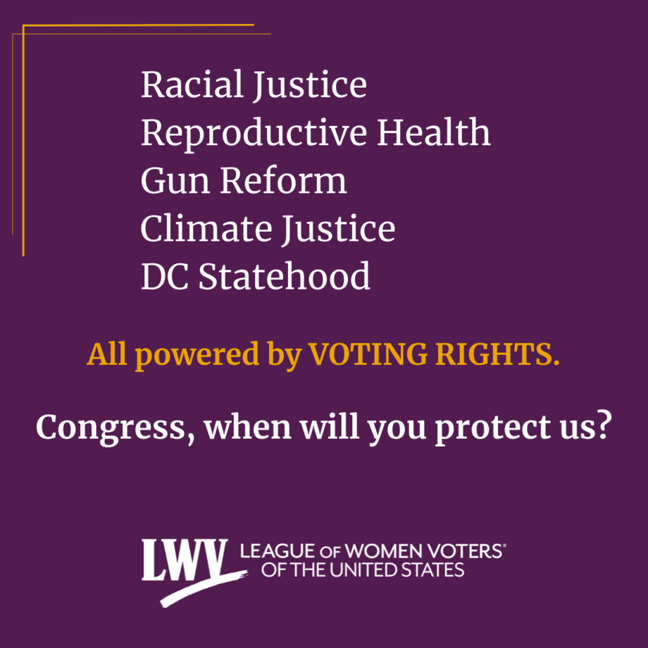 Purple and yellow graphic that lists Racial Justice Reproductive Health  Gun Reform Climate Justice  DC Statehood as important issues powered by voting rights. The graphic then asked "Congress, when will you protect us?" to connect to Congress's job to implement laws that protect voting rights and impact these issue. 