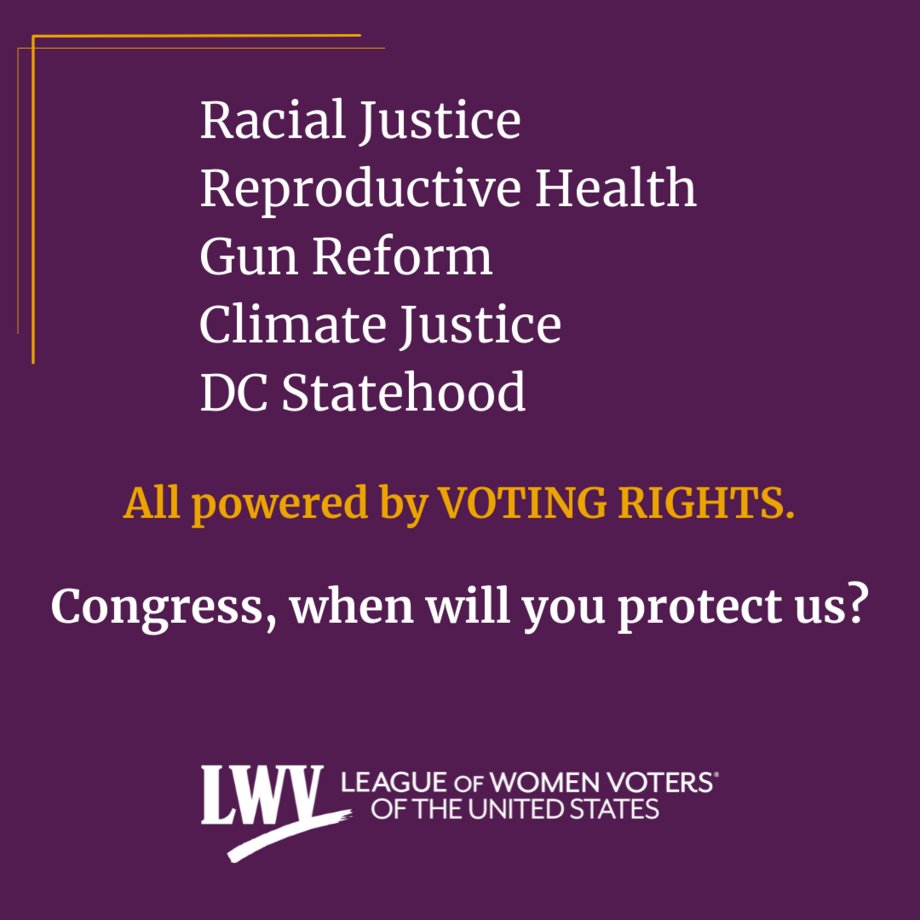 Purple and yellow graphic that lists Racial Justice Reproductive Health Gun Reform Climate Justice DC Statehood as important issues powered by voting rights. The graphic then asked "Congress, when will you protect us?" to connect to Congress's job to implement laws that protect voting rights and impact these issue.